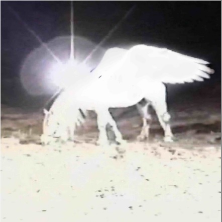 RØZ PRESENTA “CÓMO QUIERES”, PRIMER SENCILLO DE SU NUEVO ÁLBUM