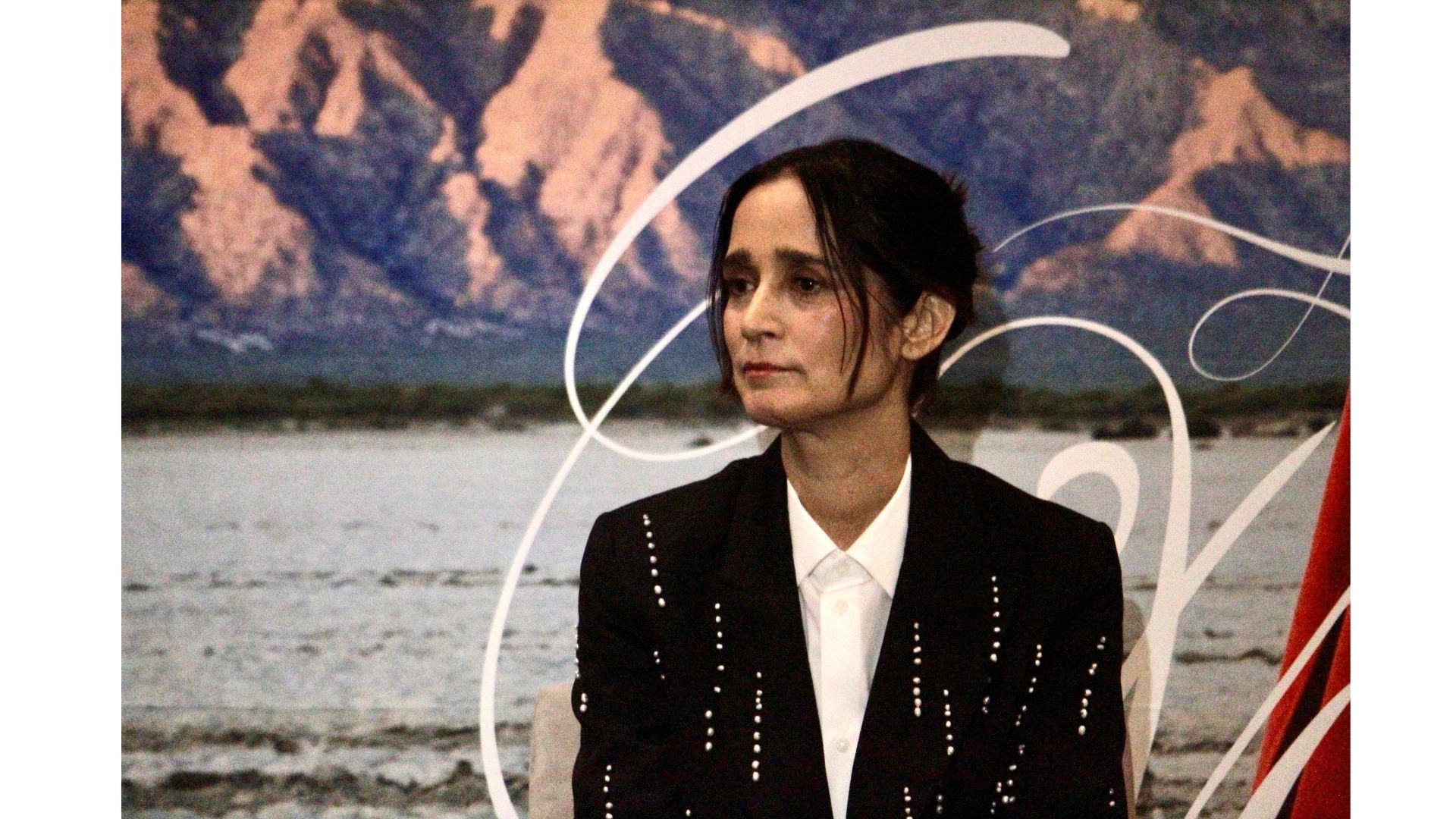 julieta venegas norteña (14)