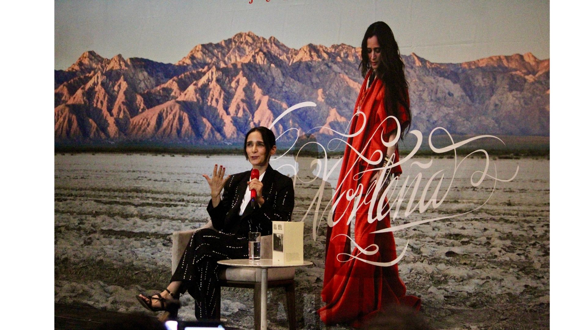 julieta venegas norteña (4)