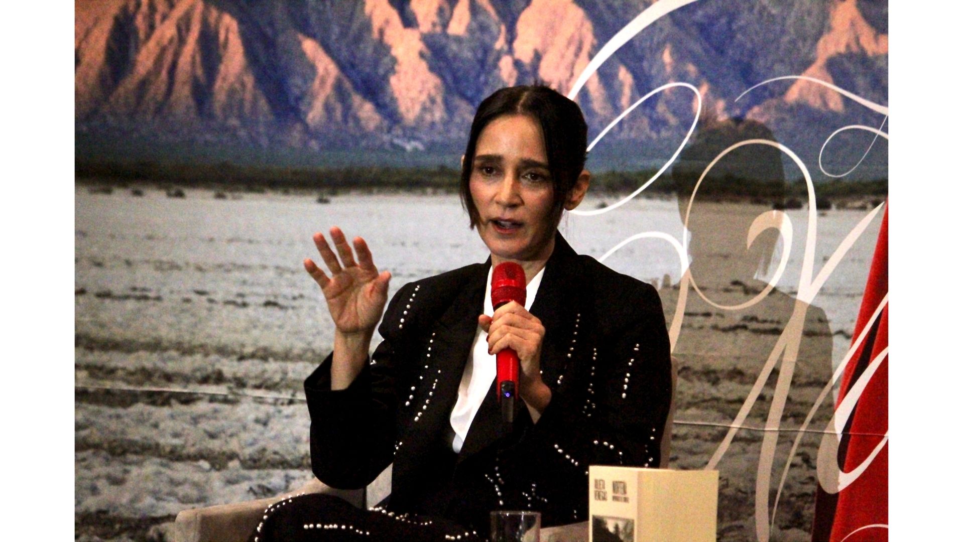 julieta venegas norteña (6)