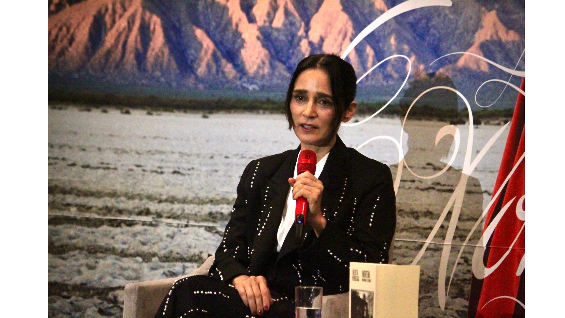 julieta venegas norteña (7)