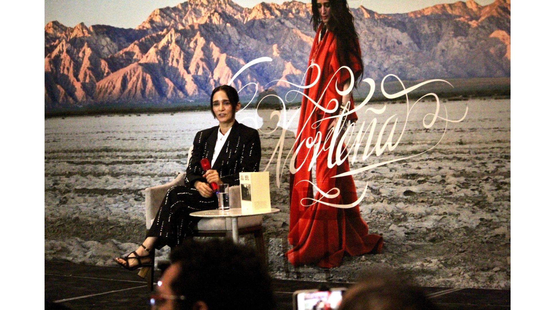 julieta venegas norteña (8)