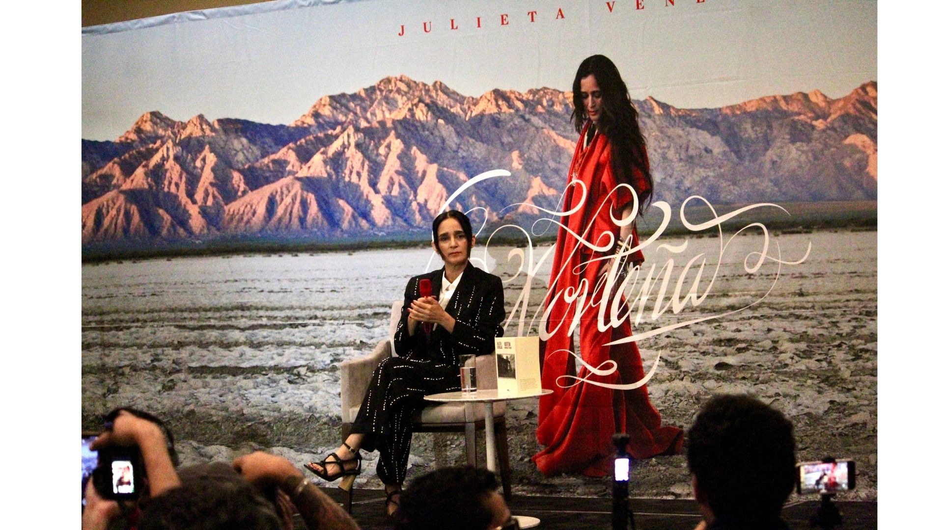 julieta venegas norteña (9)