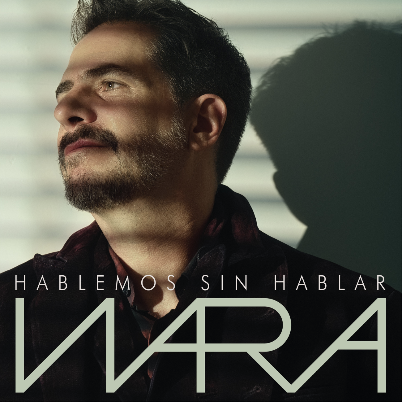 WARA HABLEMOS SIN HABLAR