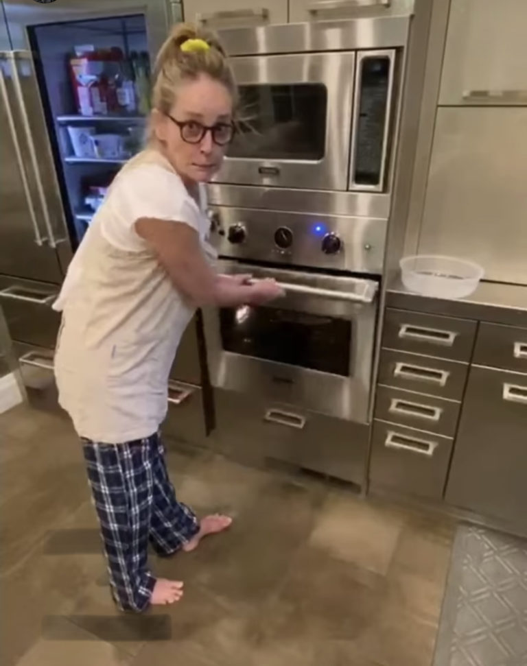 Sharon Stone, inconsciente tras caerle un rayo mientras planchaba