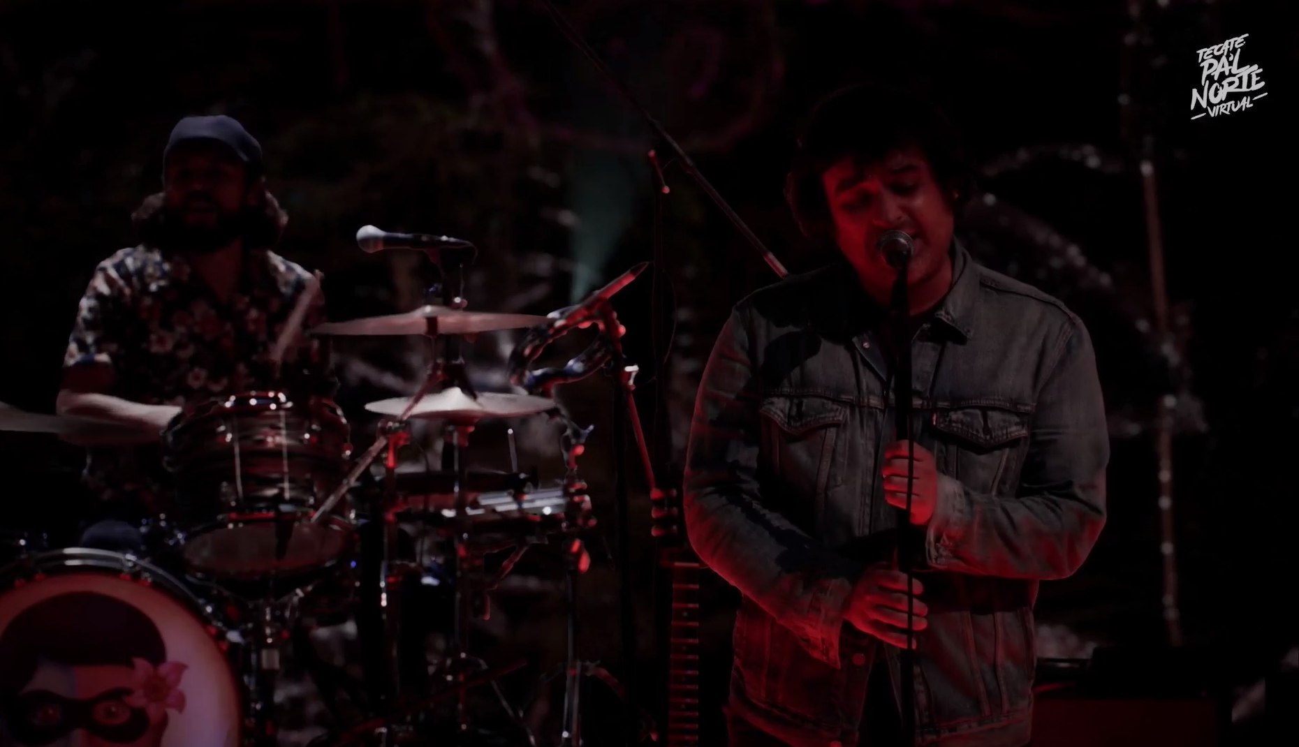 Enjambre en pal norte virtual (1)