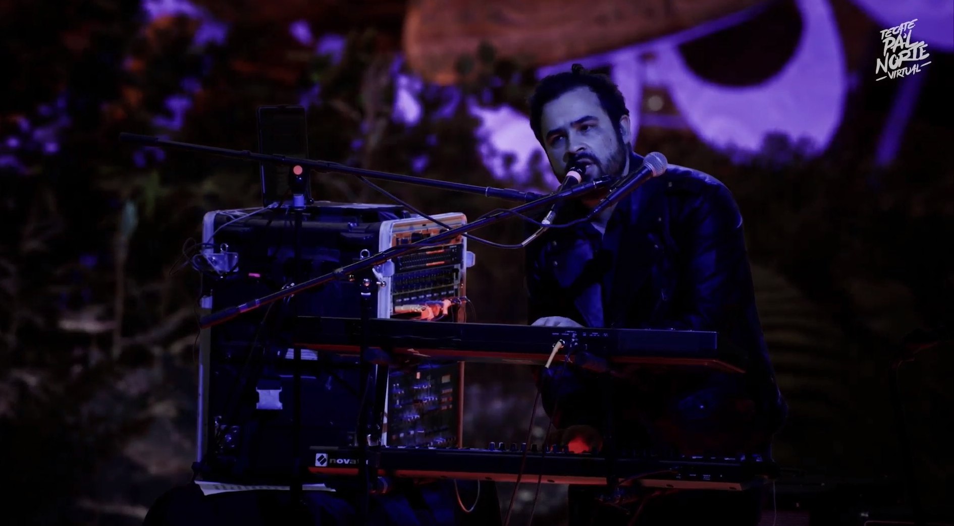 Enjambre en pal norte virtual (10)