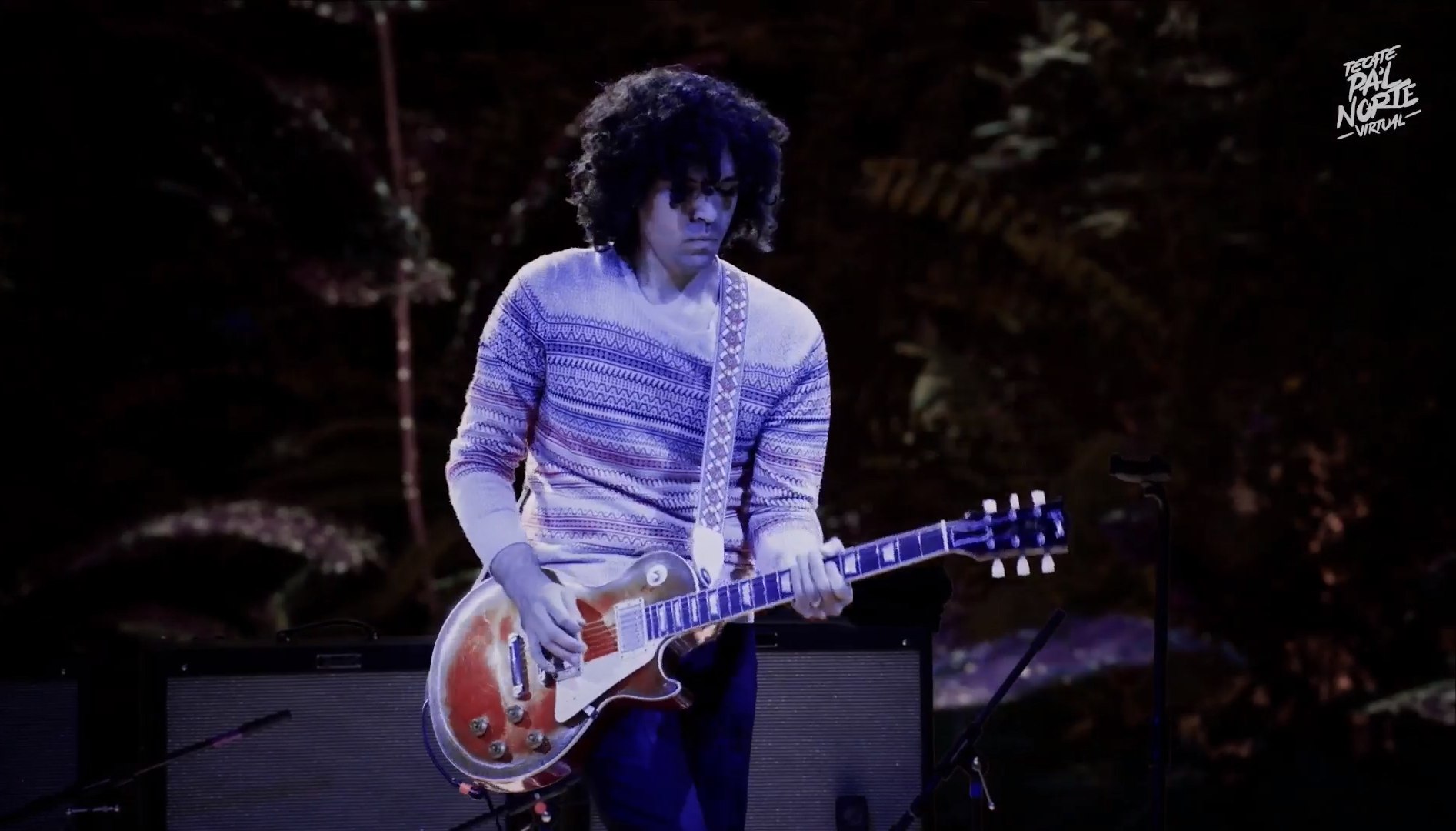 Enjambre en pal norte virtual (12)