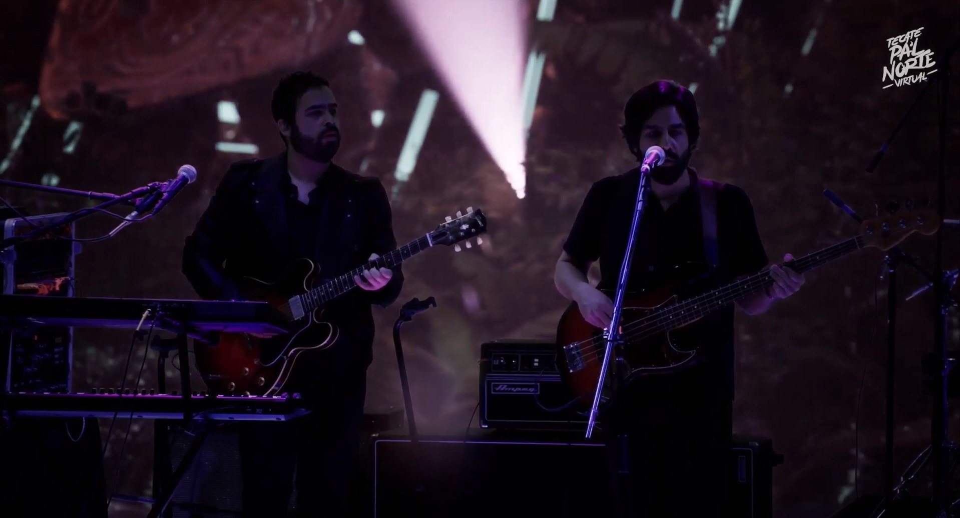 Enjambre en pal norte virtual (14)