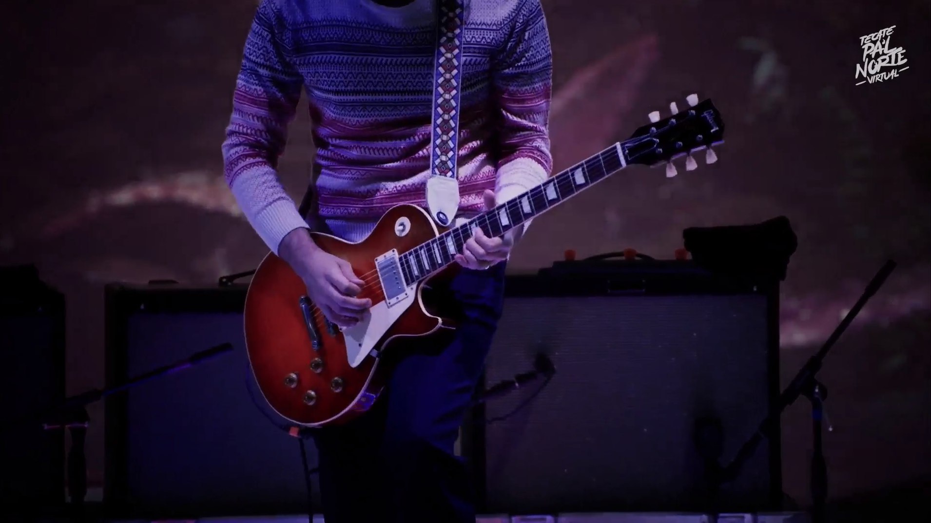 Enjambre en pal norte virtual (15)