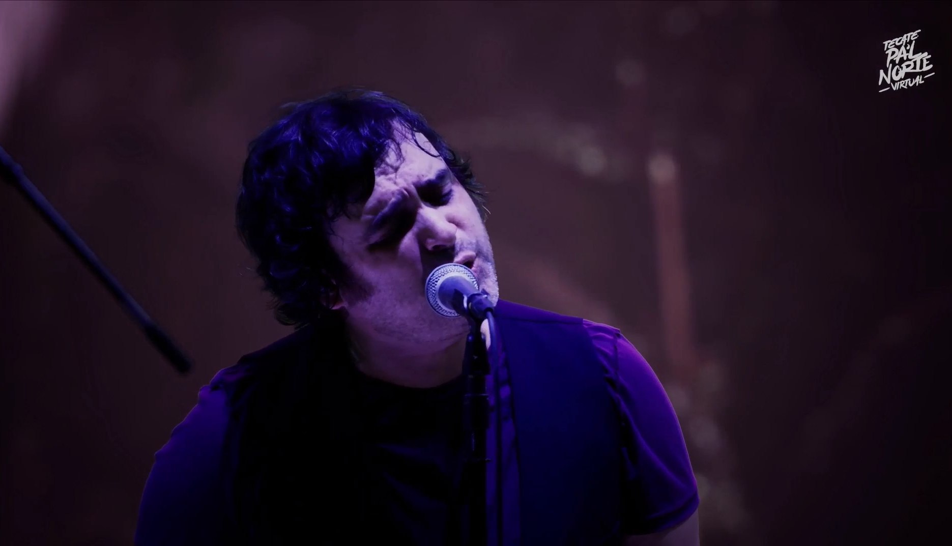 Enjambre en pal norte virtual (16)