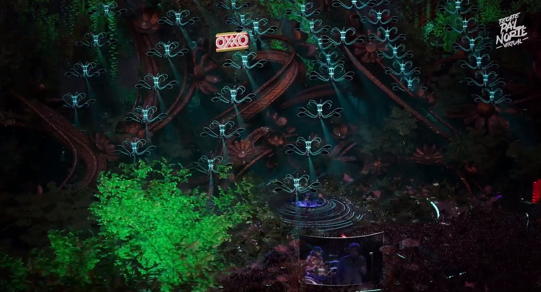 Enjambre en pal norte virtual (3)