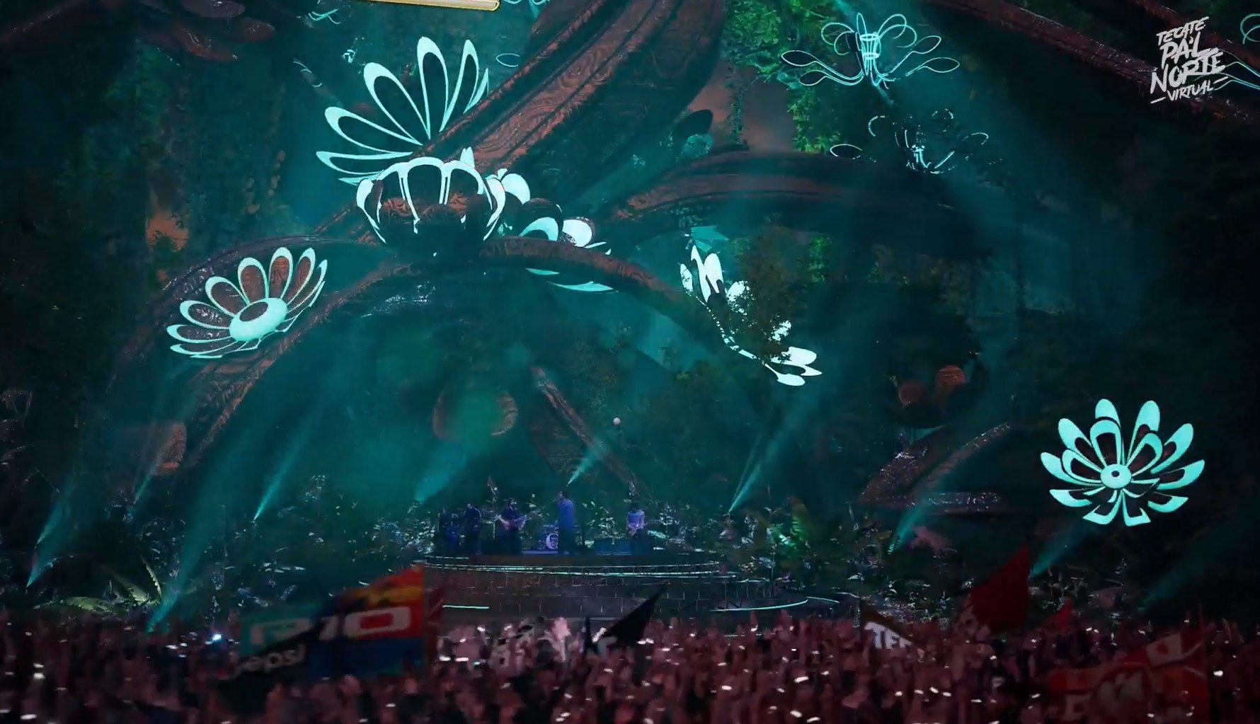 Enjambre en pal norte virtual (4)