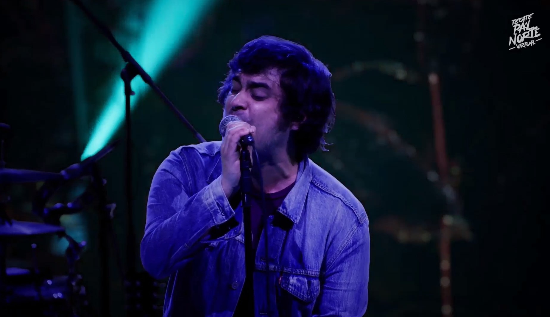 Enjambre en pal norte virtual (5)