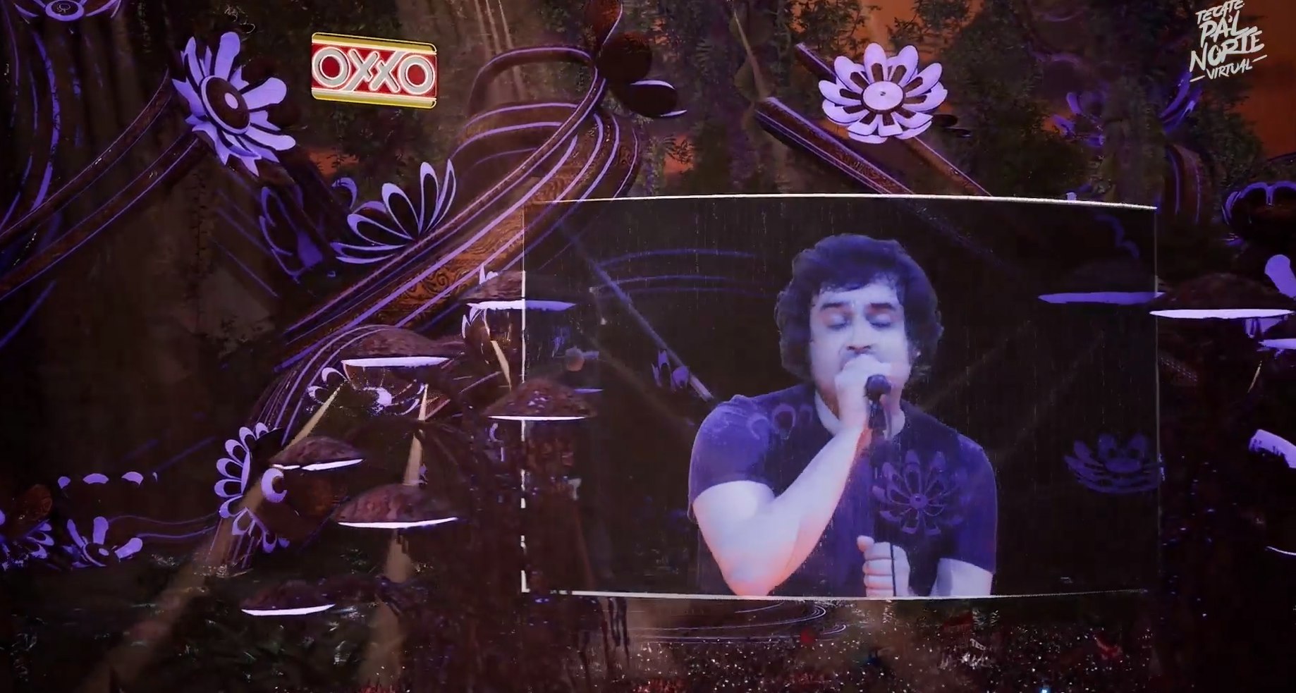 Enjambre en pal norte virtual (8)