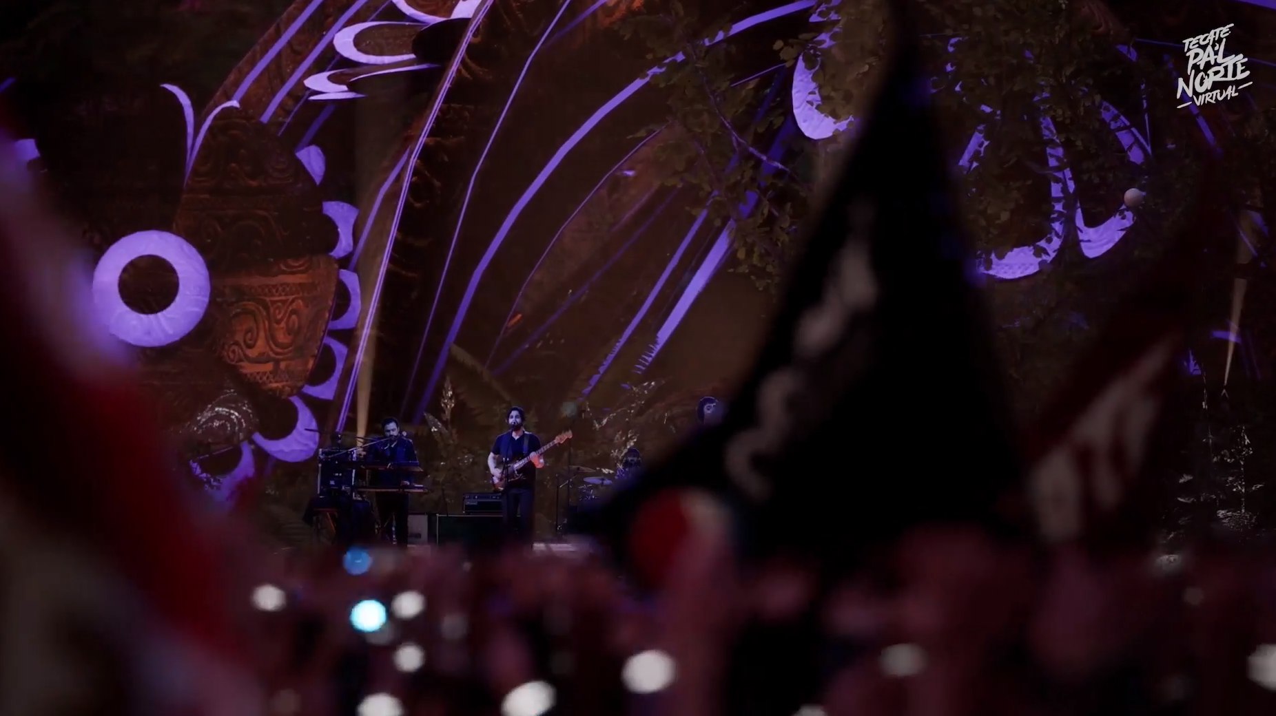 Enjambre en pal norte virtual (9)