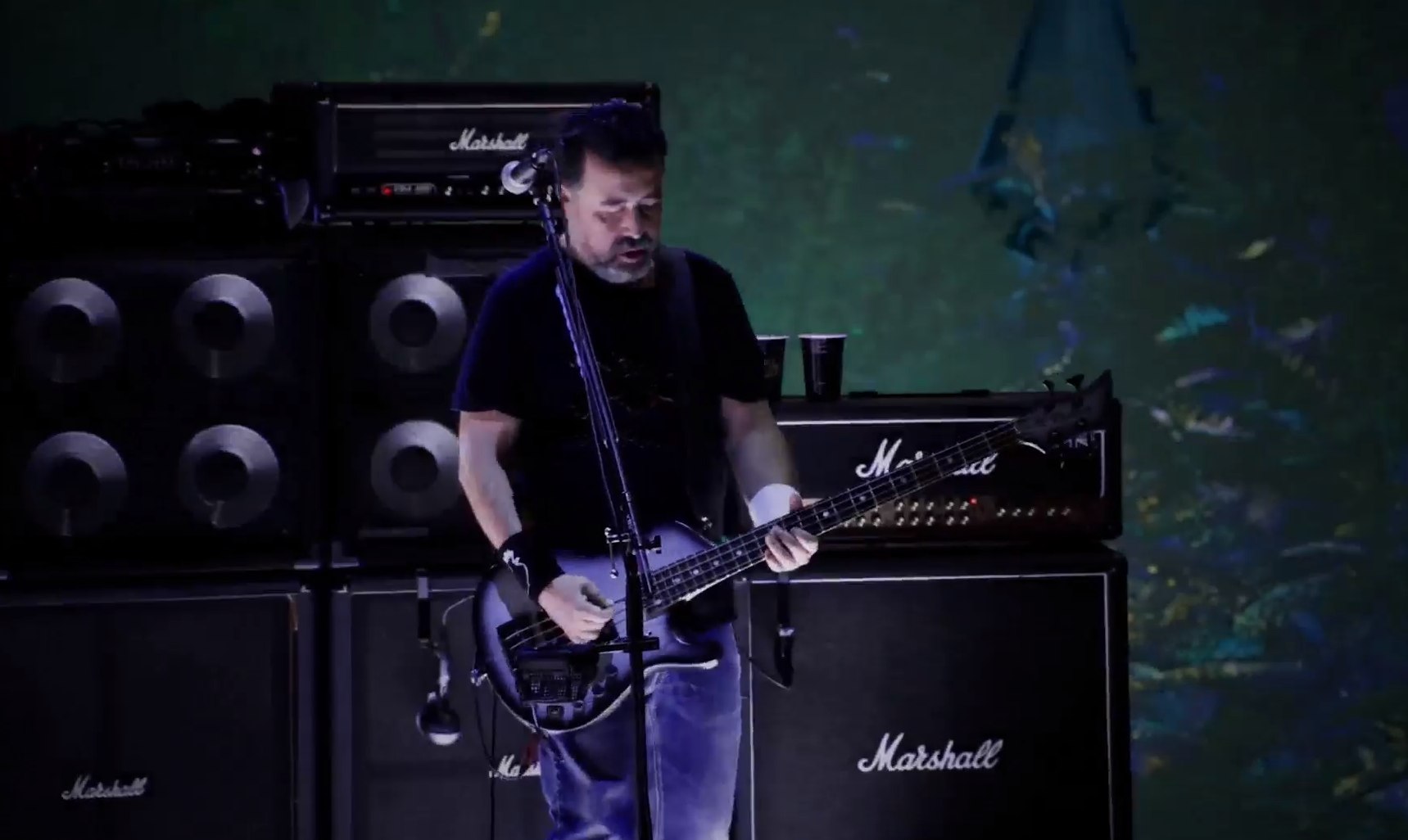 molotov tecate pal norte 2021 (11)