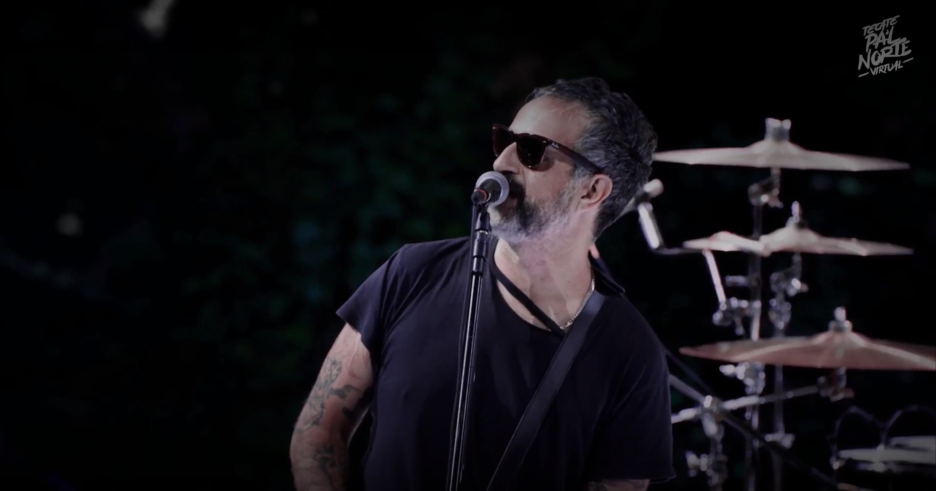 molotov tecate pal norte 2021 (3) - copia