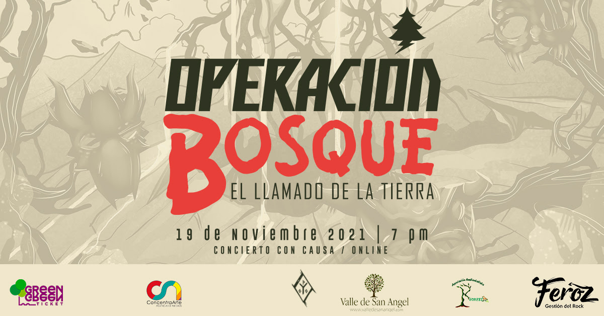 Planta un árbol a través del rock