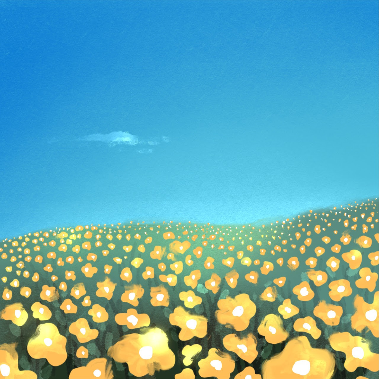 unnamed (9)