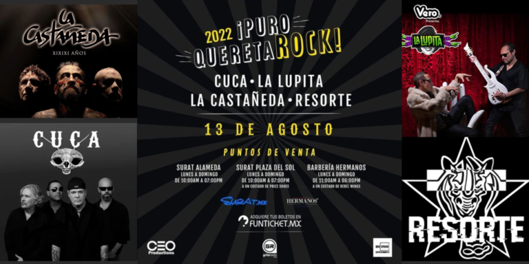 Banner web comida de perros negro