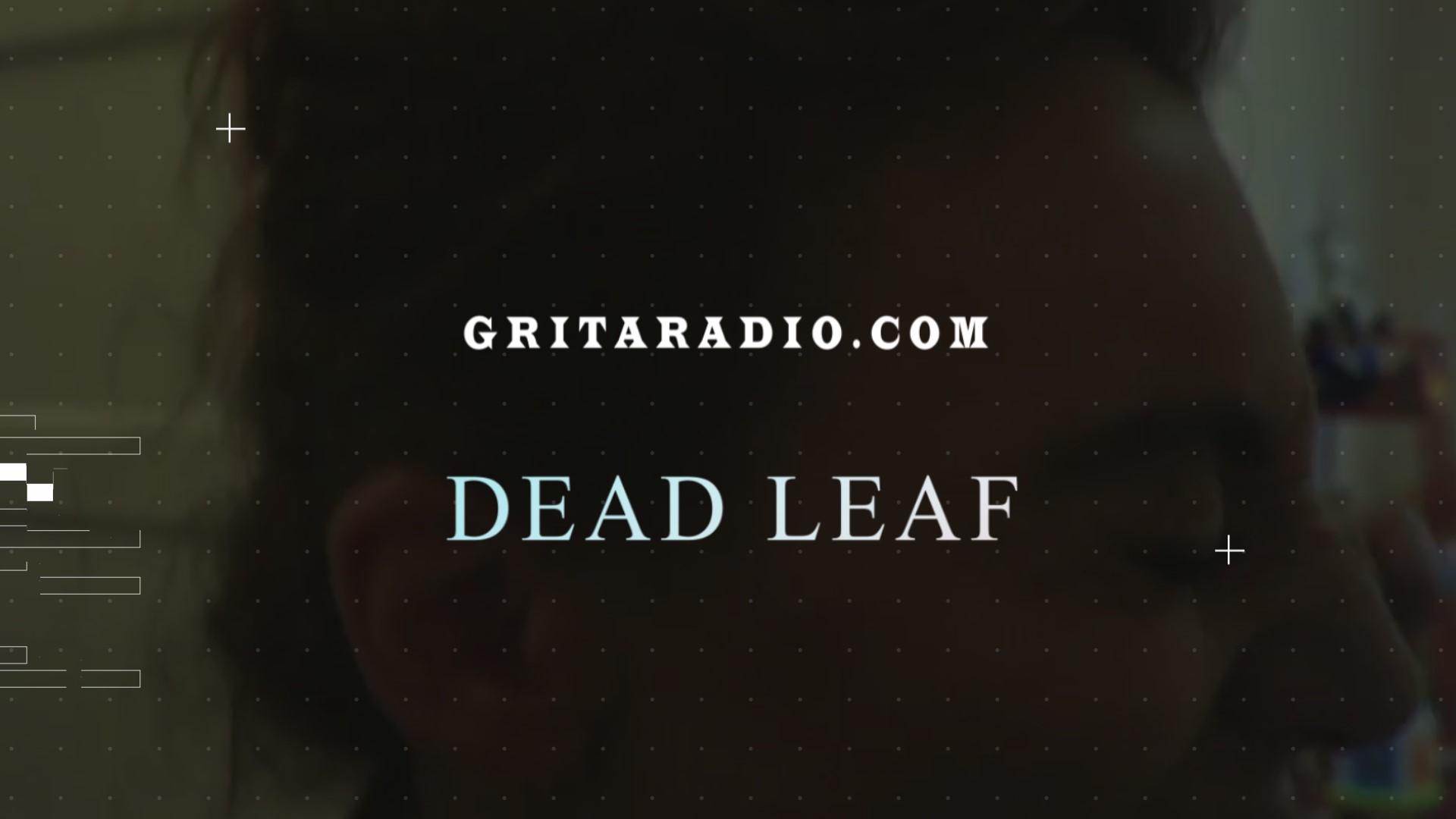 dead leaf