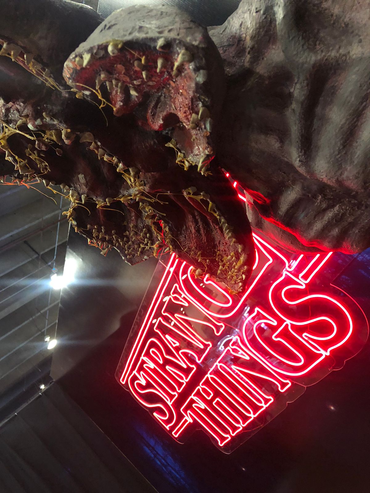 WhatsApp Image 2022-10-30 at 02.38.42 (1)