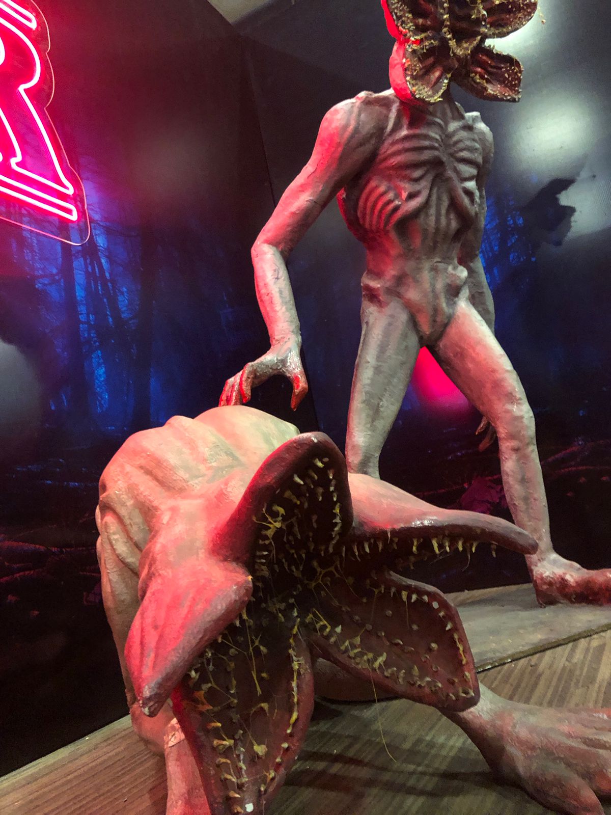 WhatsApp Image 2022-10-30 at 02.38.42 (2)