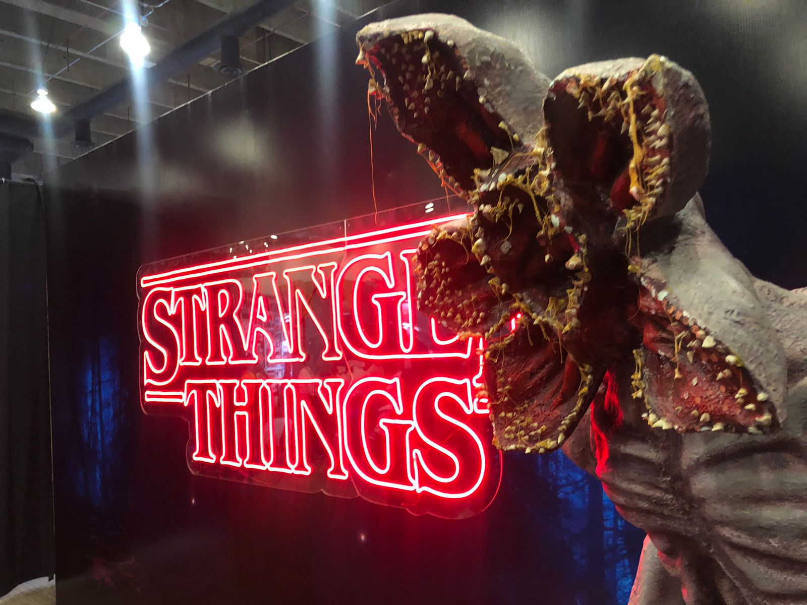 WhatsApp Image 2022-10-30 at 02.39.18