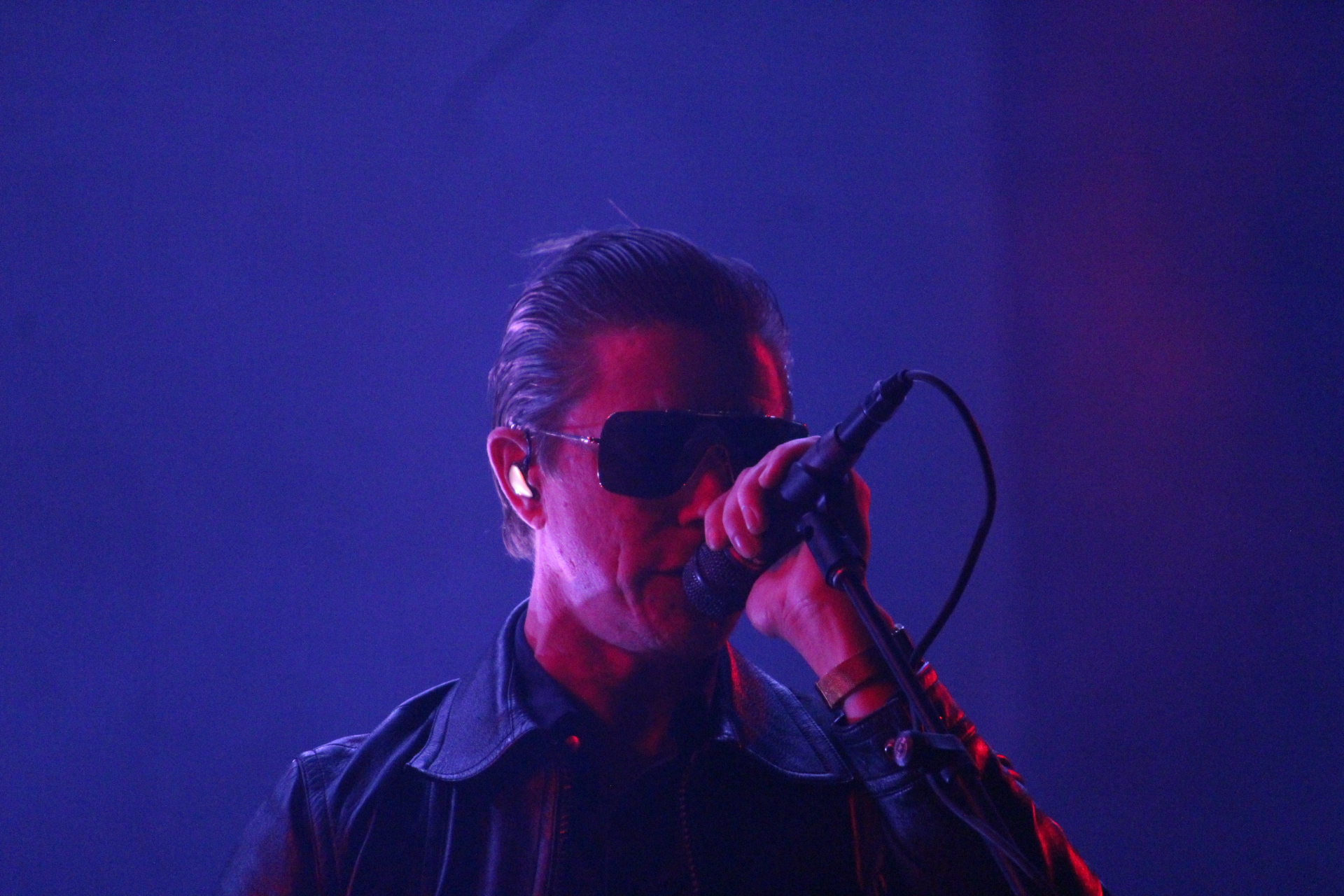 INTERPOL THE WORLD IS A VAMPIRE (2)