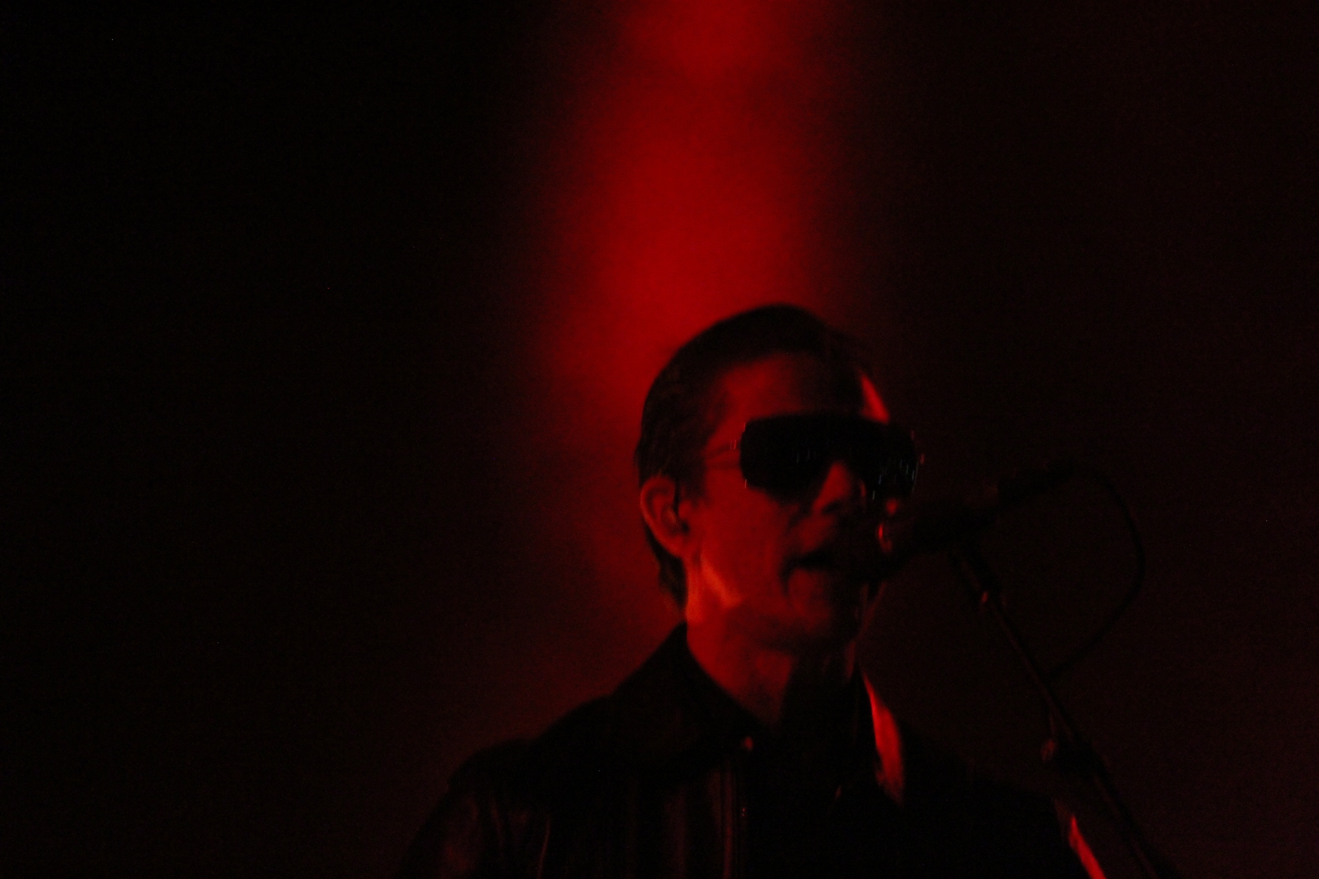 INTERPOL THE WORLD IS A VAMPIRE (24)