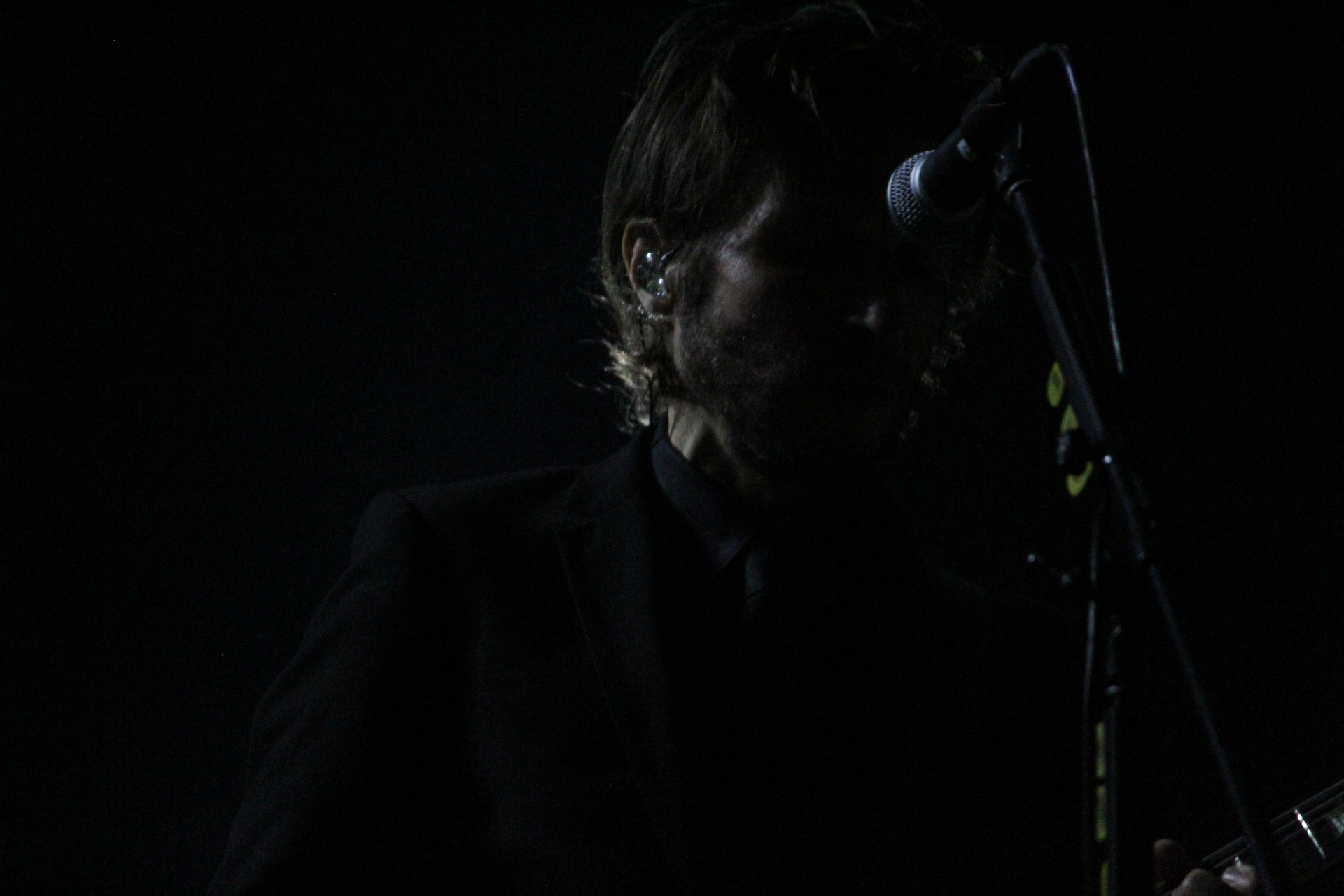 INTERPOL THE WORLD IS A VAMPIRE (31)