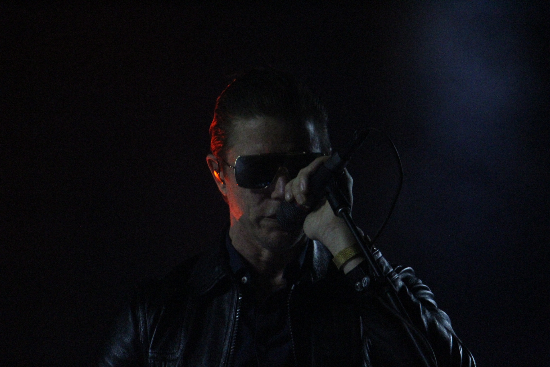 INTERPOL THE WORLD IS A VAMPIRE (39)