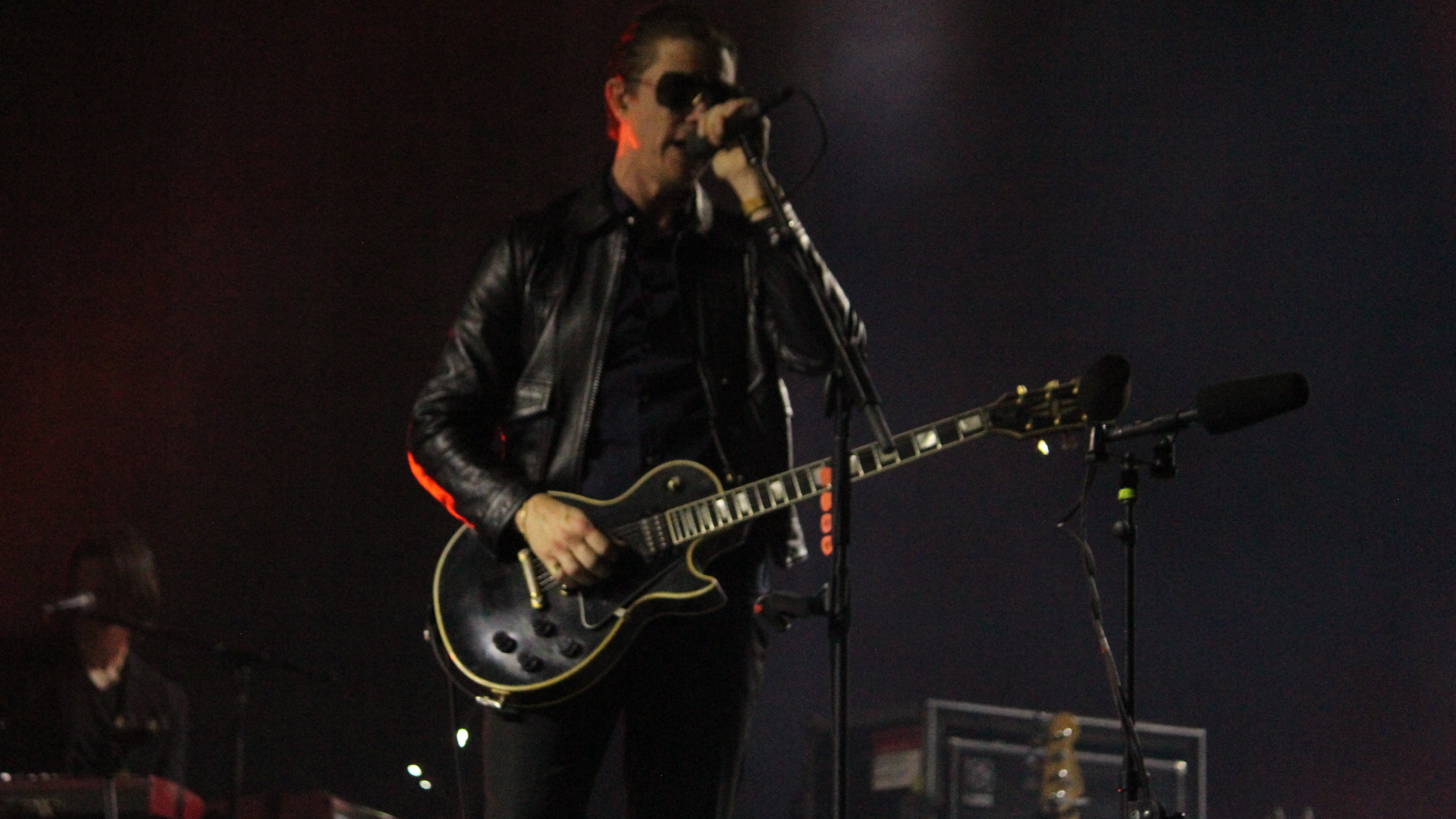 INTERPOL THE WORLD IS A VAMPIRE (4)