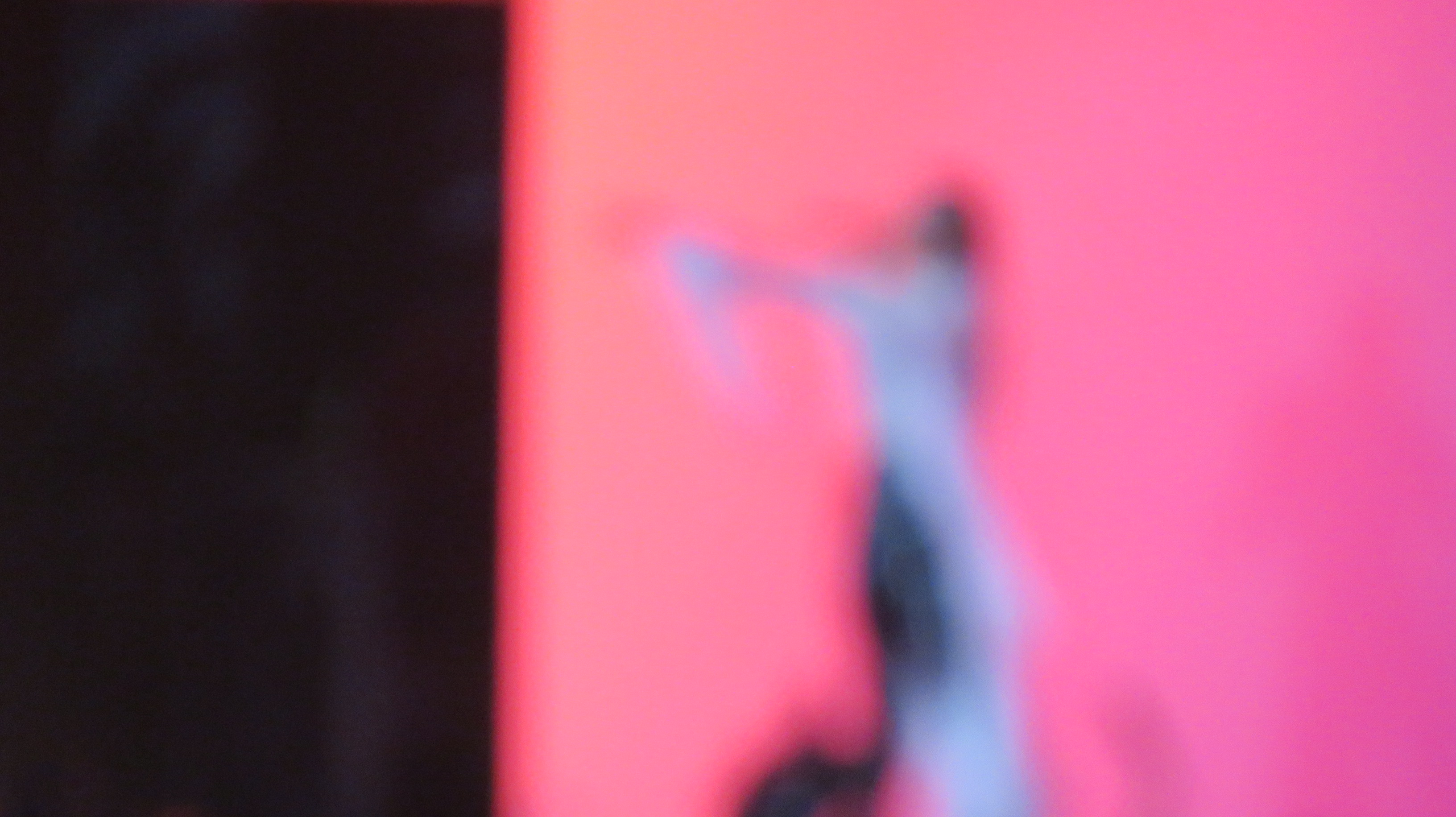 ROSALIA en Coachella 2023 (60)