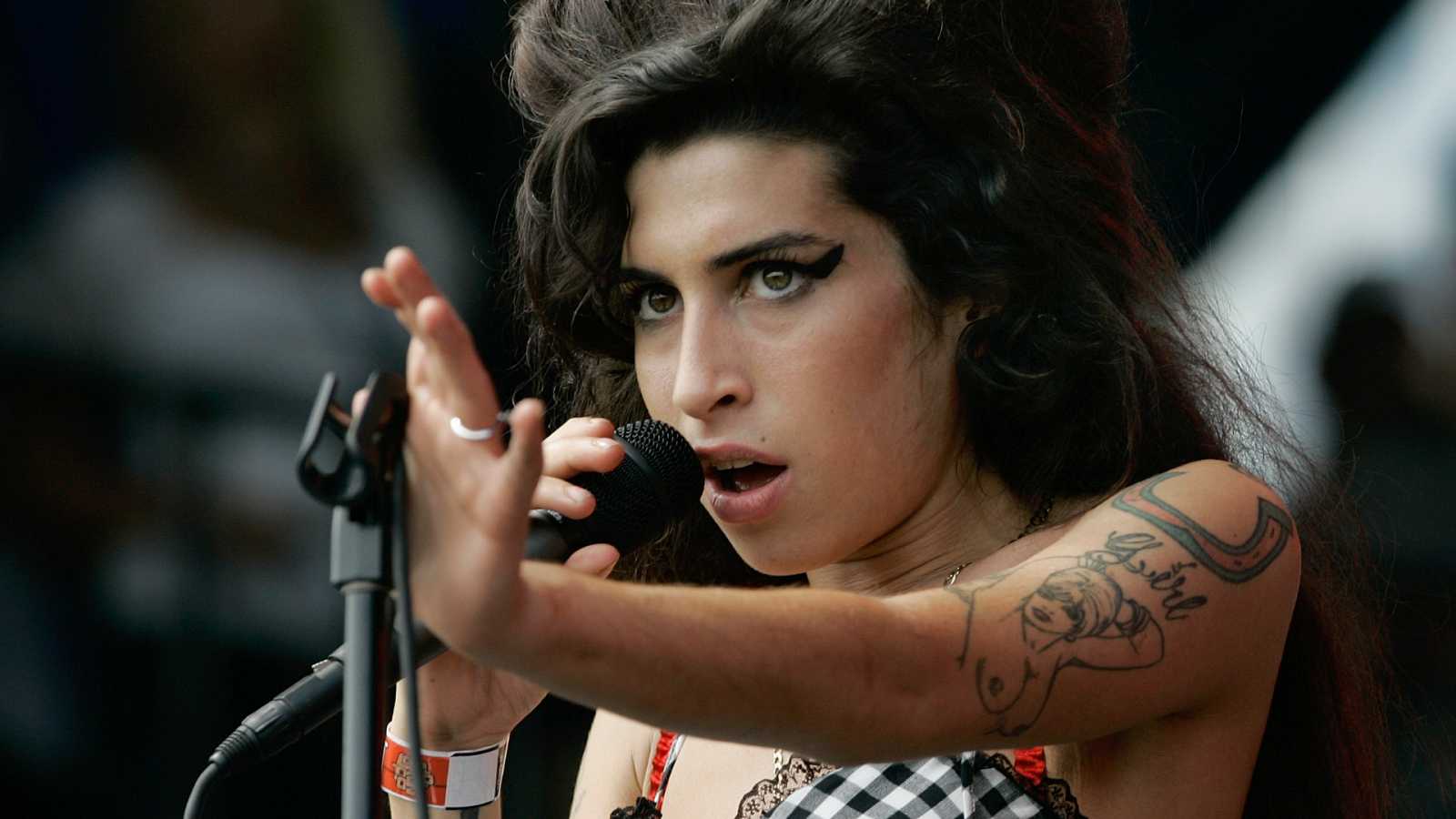 Recopilan diarios, letras y fotografías de Amy Winehouse