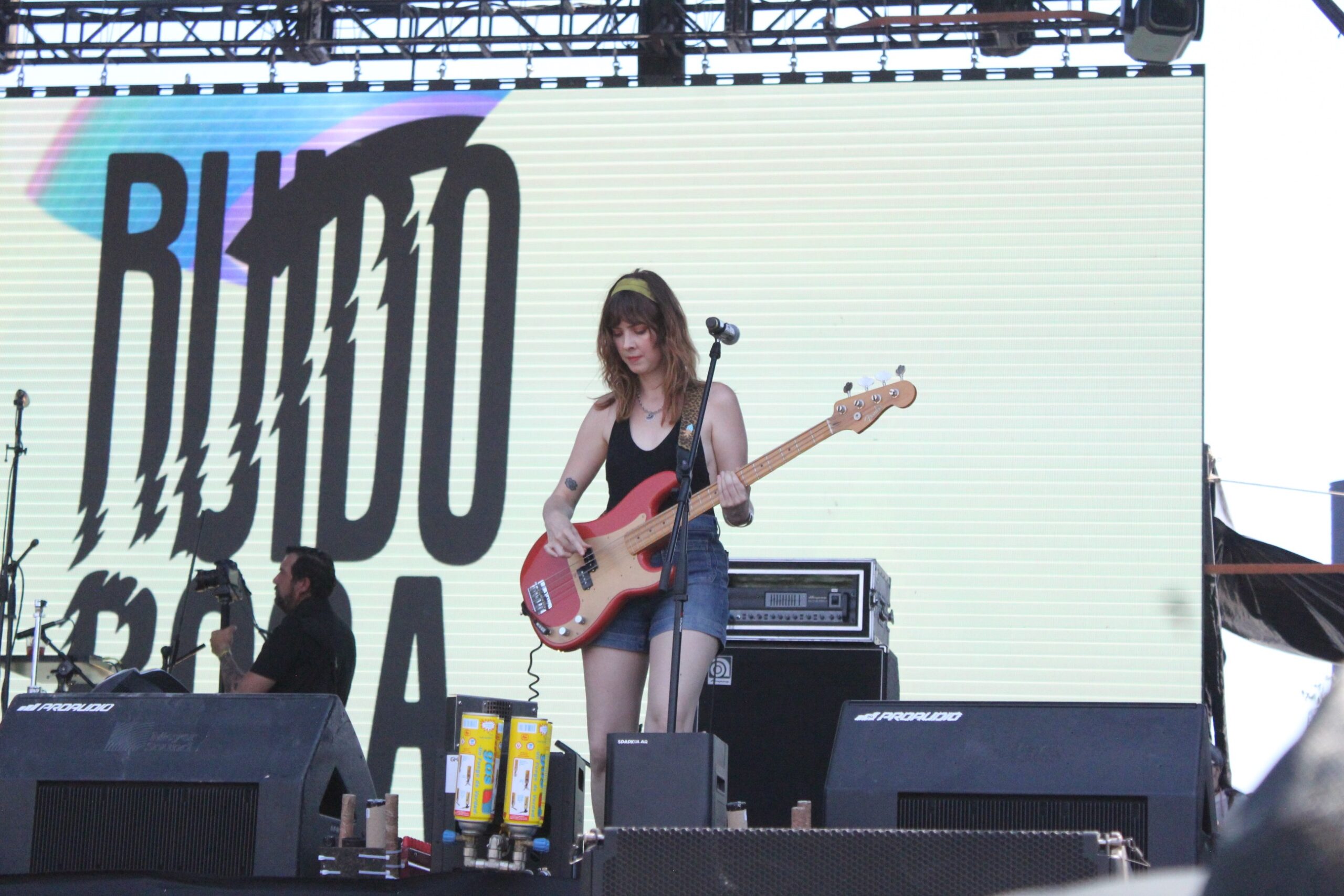 Ruido Rosa (17)