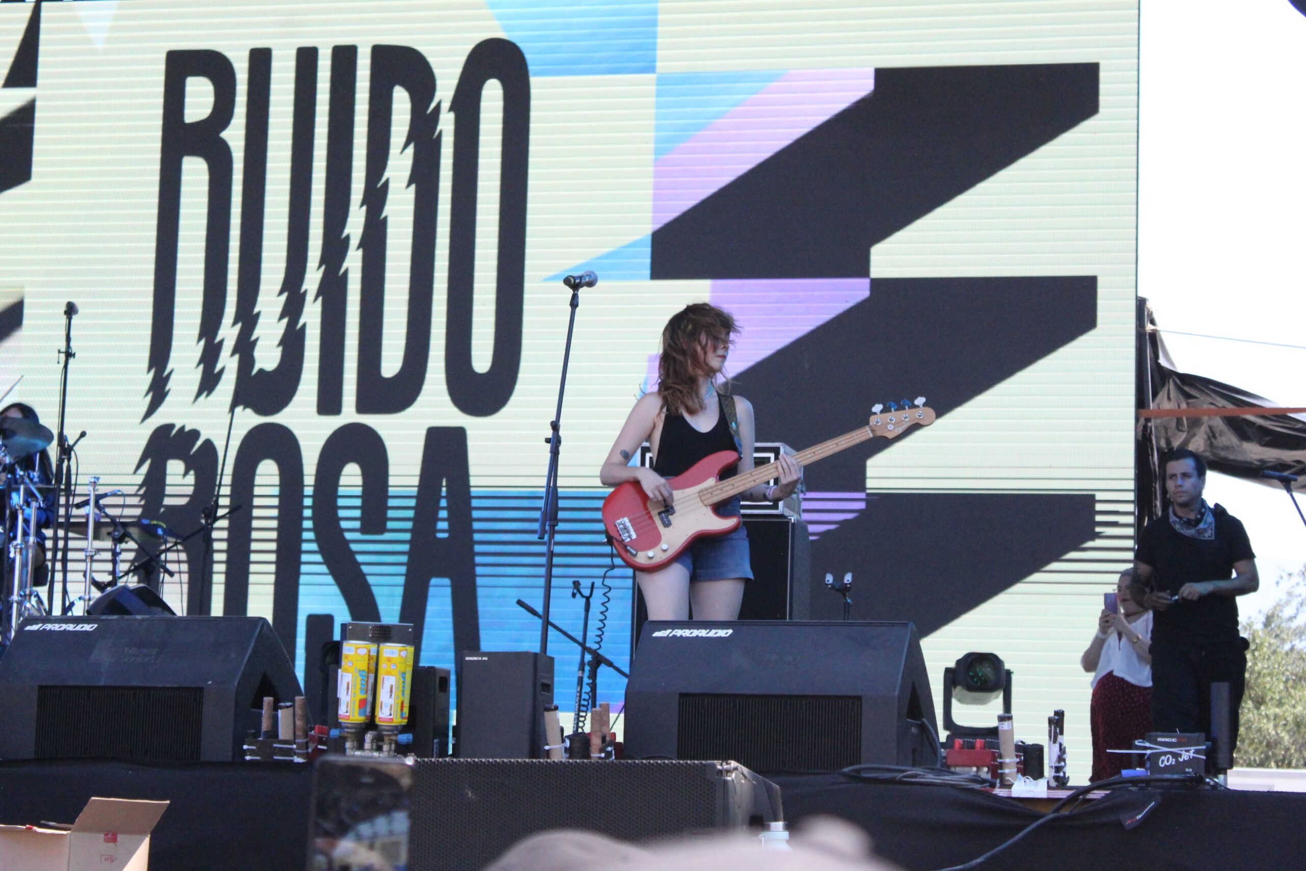 Ruido Rosa (31)