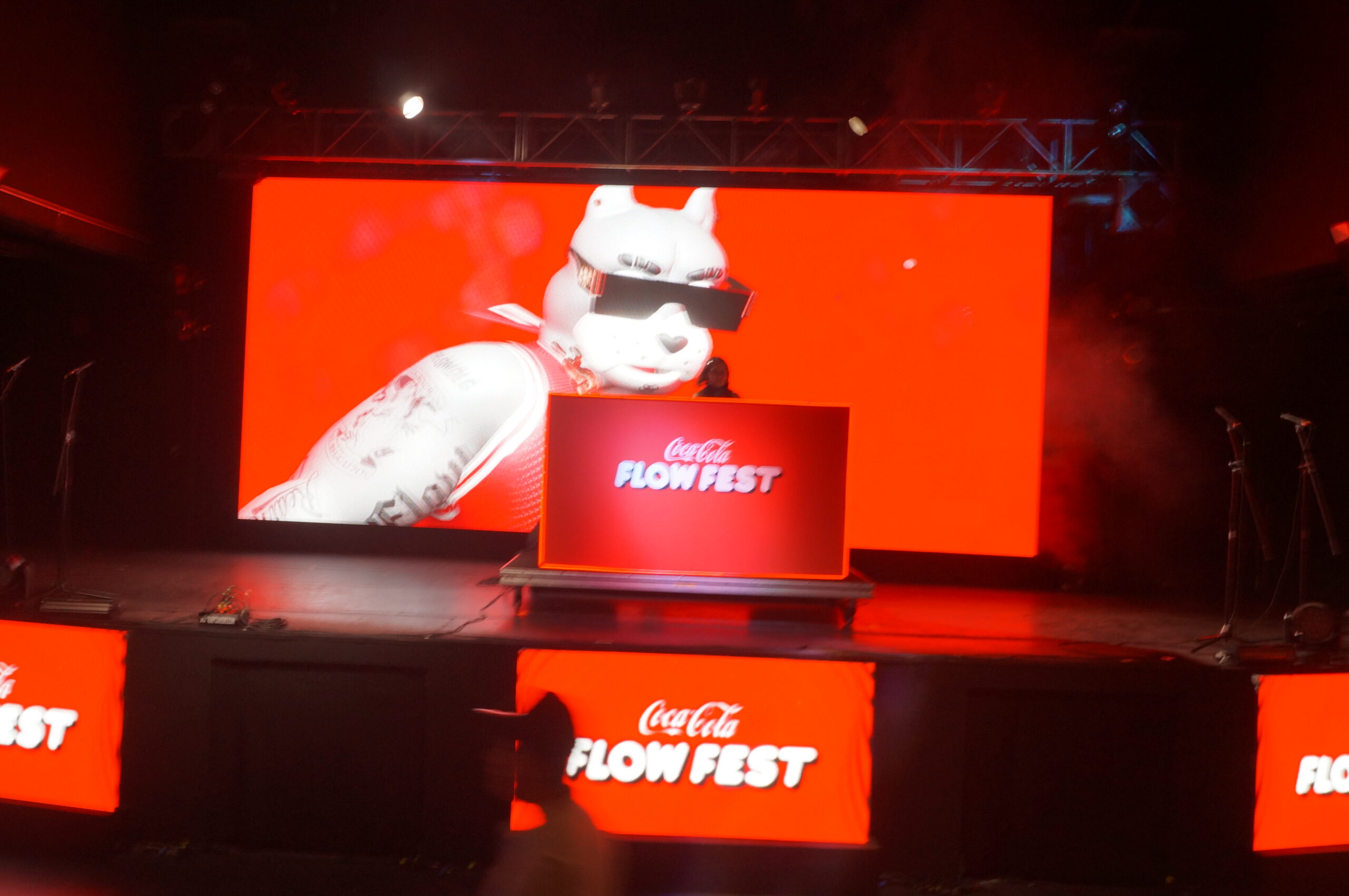 flow fest (10)