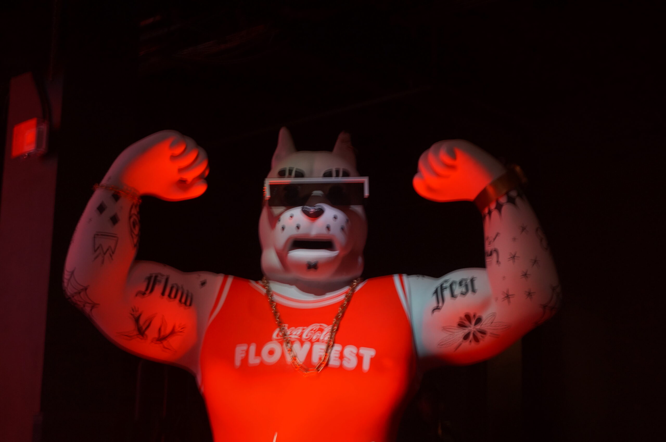 flow fest (11)