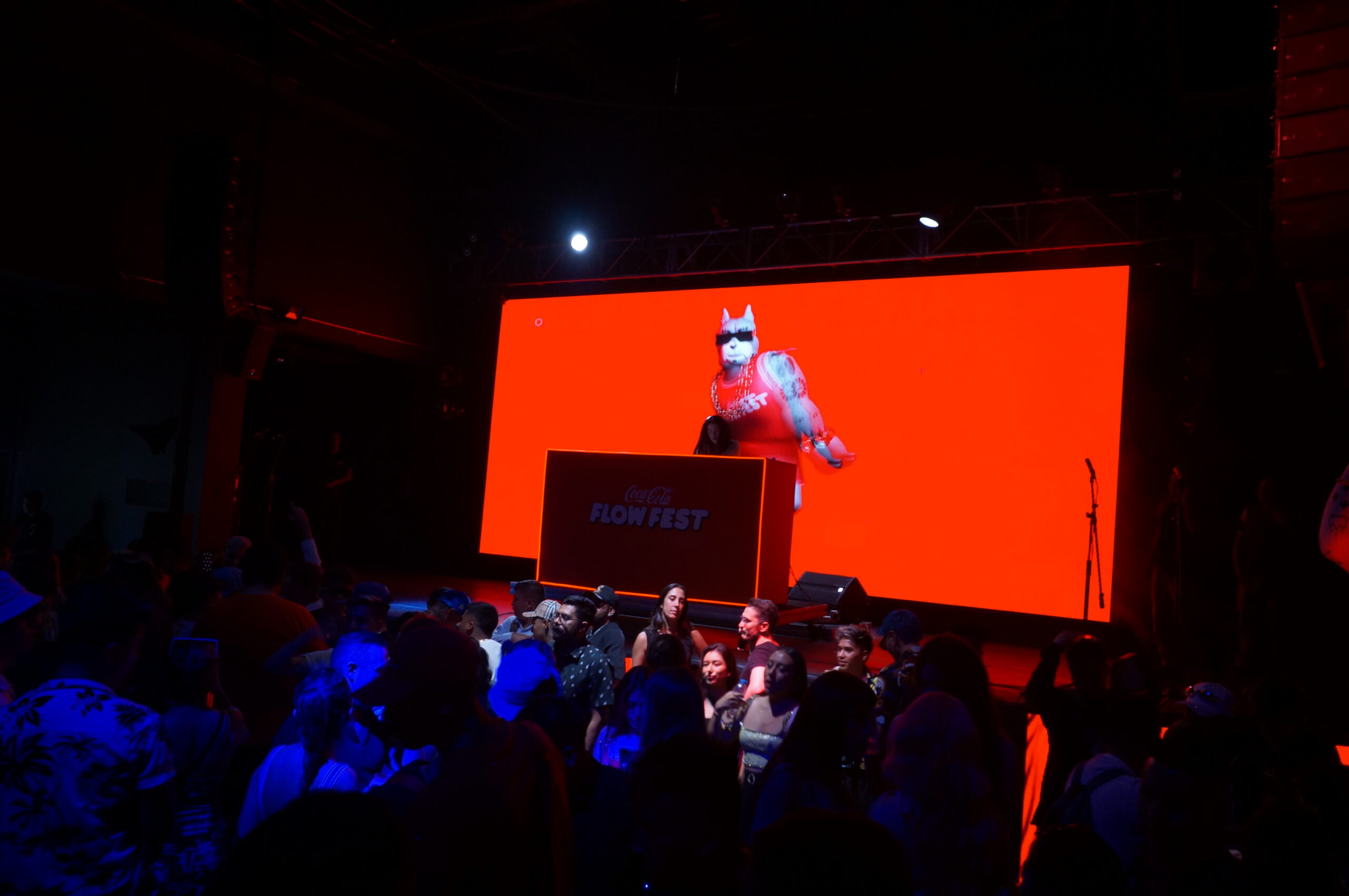 flow fest (17)
