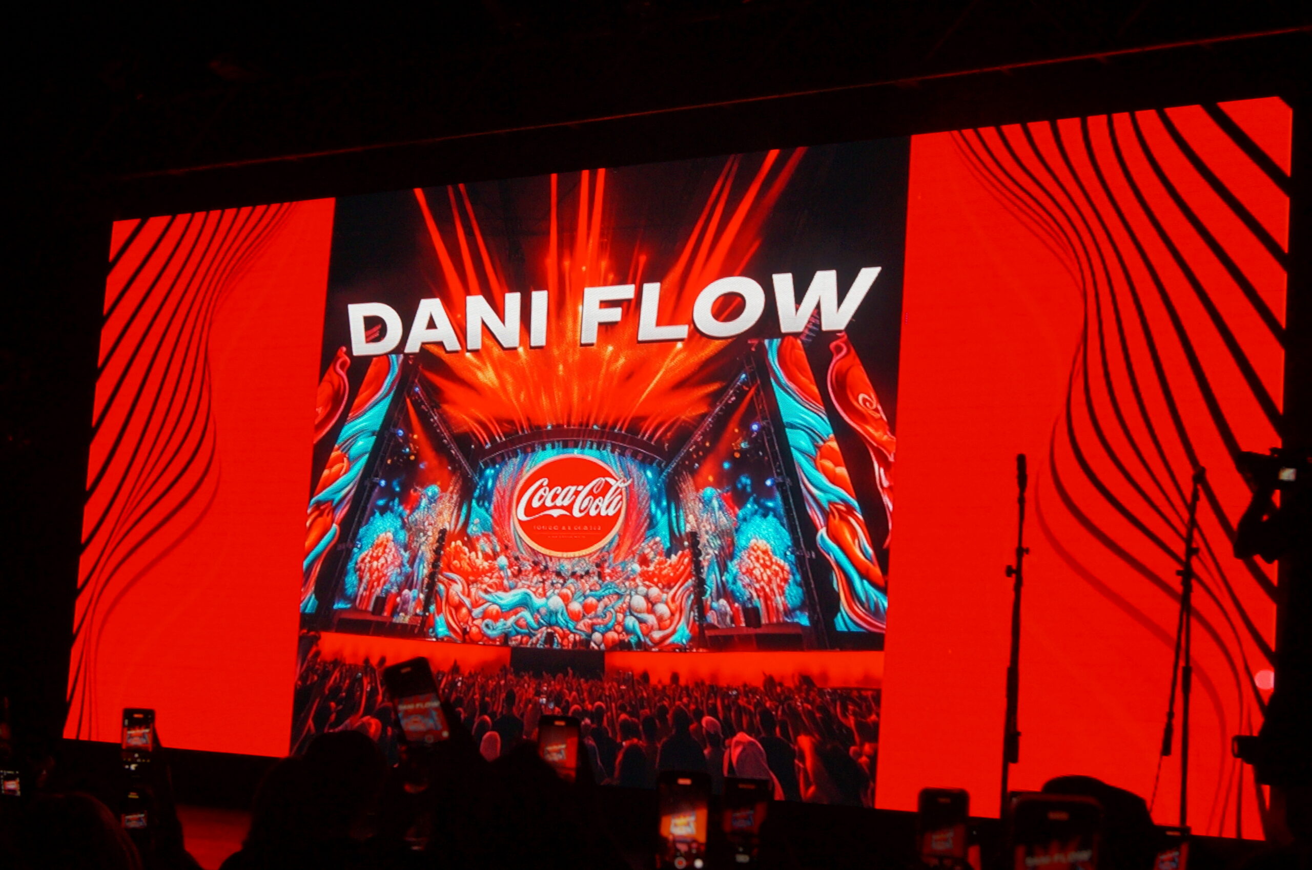 flow fest (21)