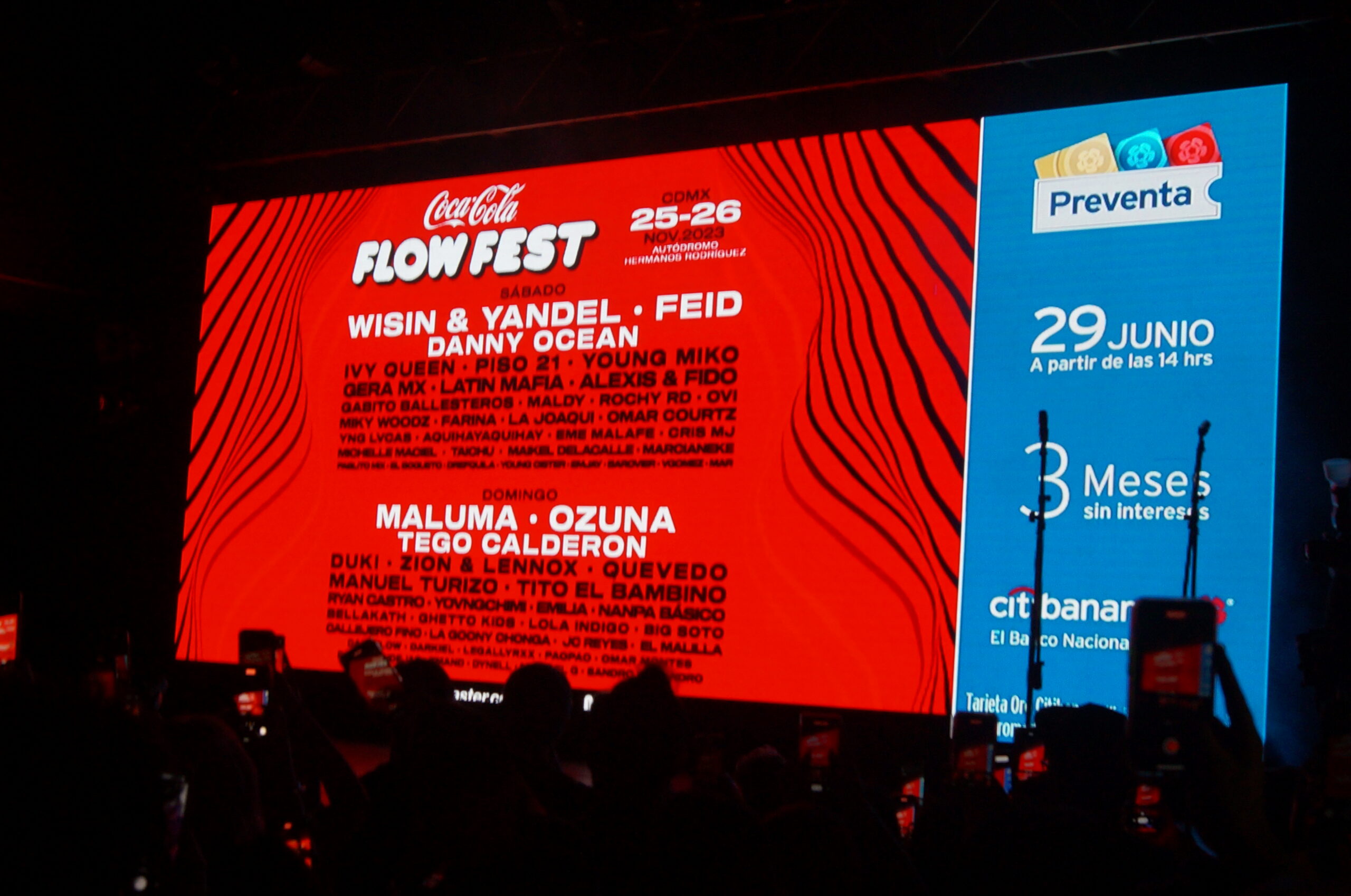 flow fest (26)
