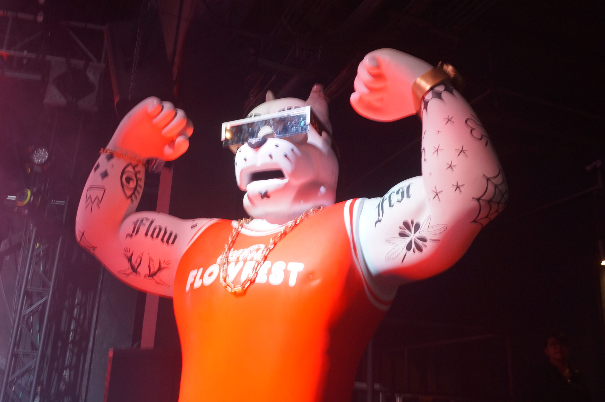 flow fest (3)