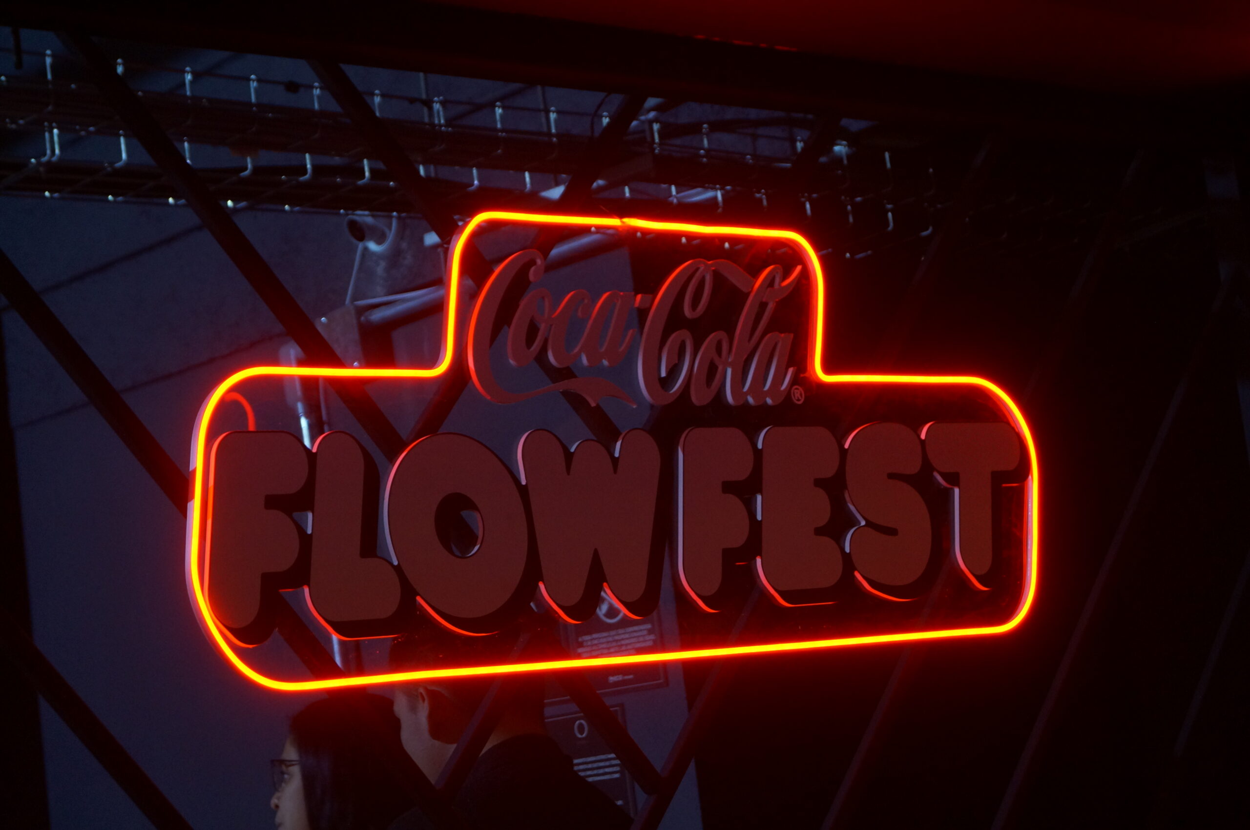 flow fest (7)