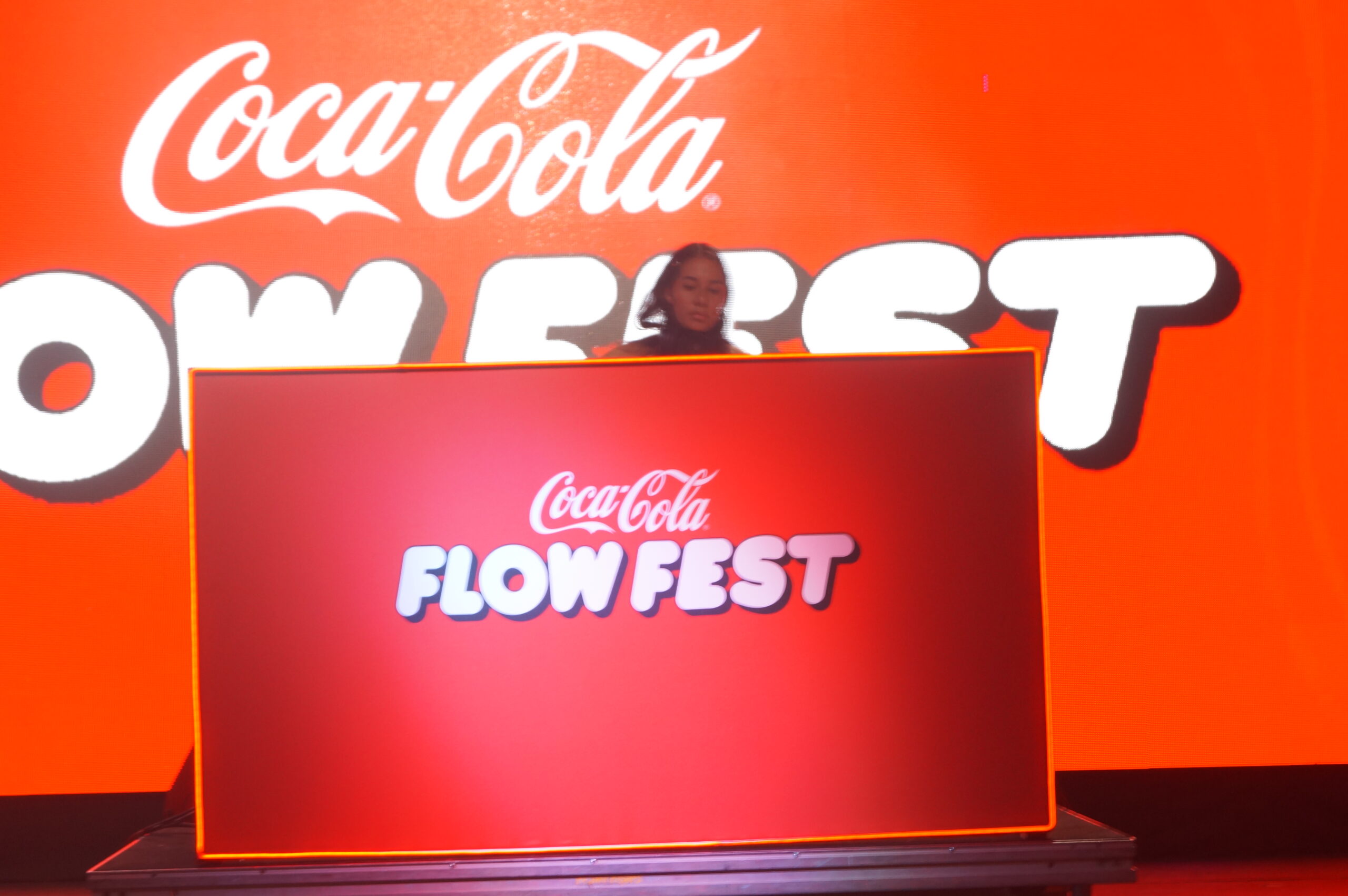flow fest (8)