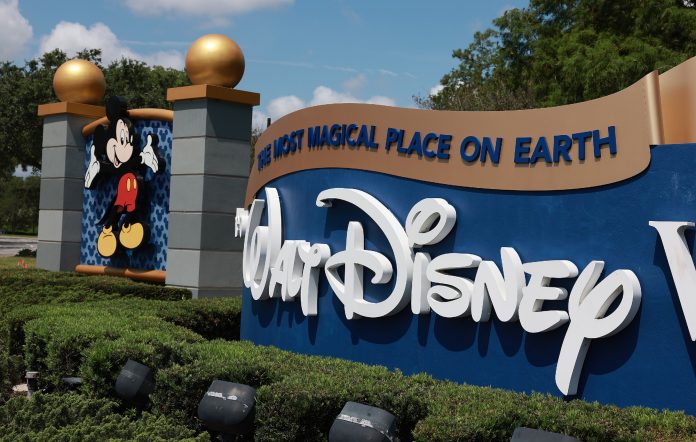 Un oso salvaje suelto en Disney World provoca el cierre de varias atracciones