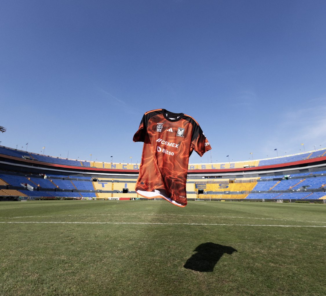 20231124-TIGRES8302-1125x1024