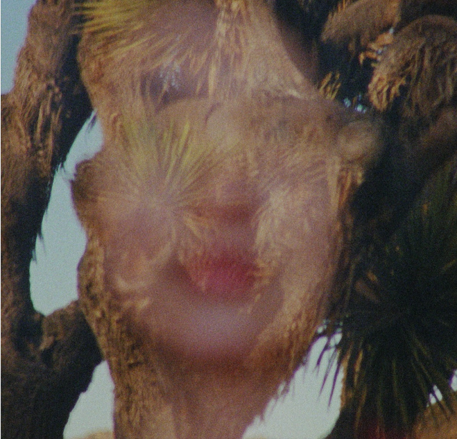 Jorge Drexler estrena Derrumbe