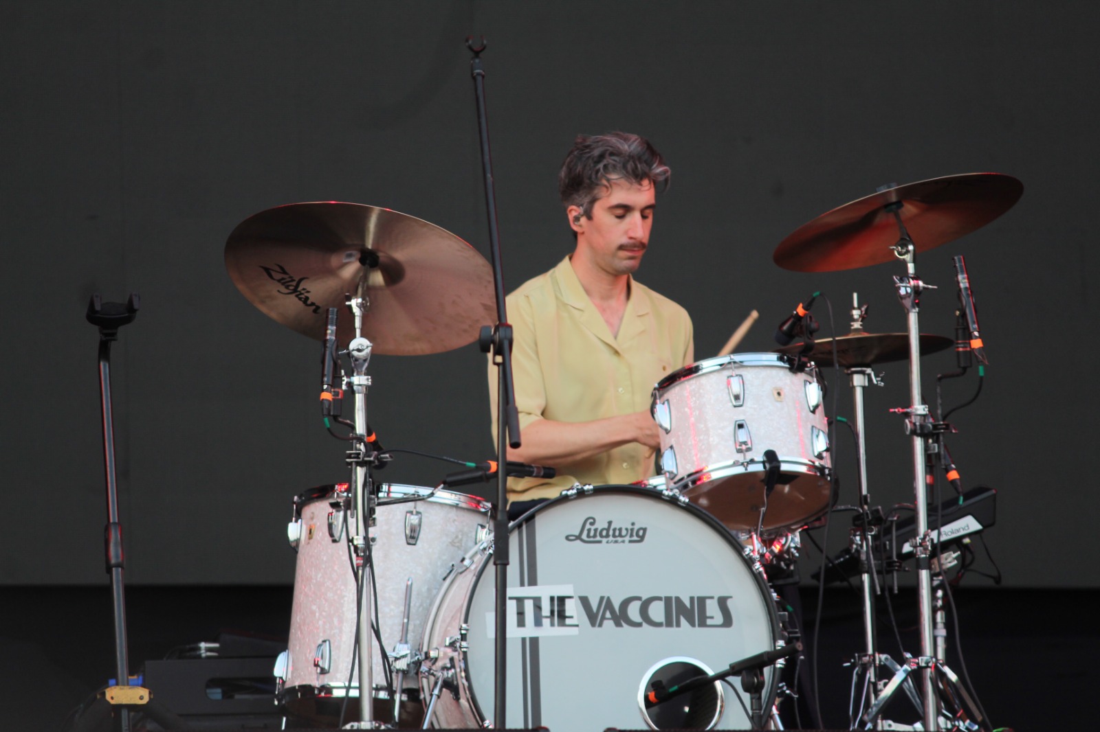 The vaccines_2024 (10)